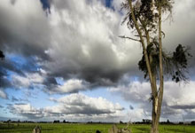 葡萄牙vs列支敦士登直播哪里看？比赛看点、阵容及直播平台全解析