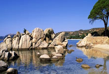 今日国足比赛结果如何？球队表现有哪些亮点与不足？